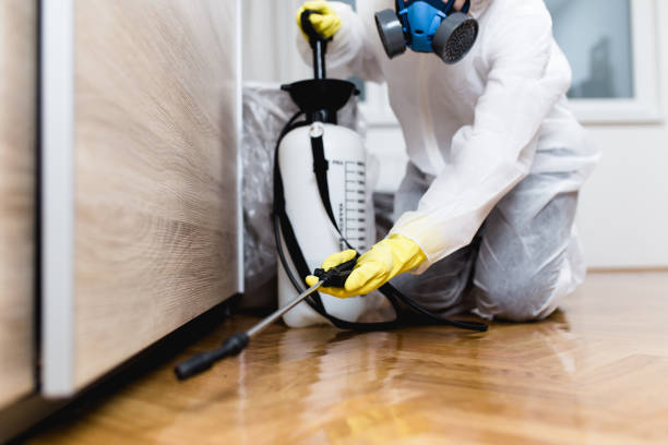 Best Residential Pest Control  in South Charleston, OH