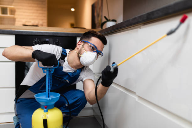 Best Insect Control  in South Charleston, OH