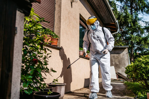 Best Ant Control Services  in South Charleston, OH