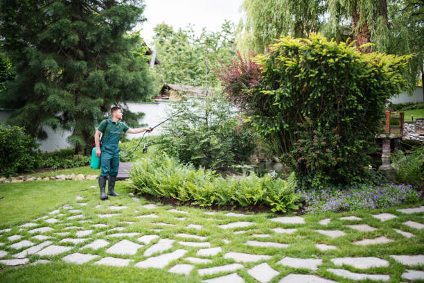 Best Pest Prevention Services  in South Charleston, OH