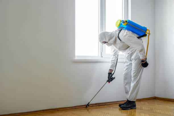 Best Wasp Removal Services  in South Charleston, OH