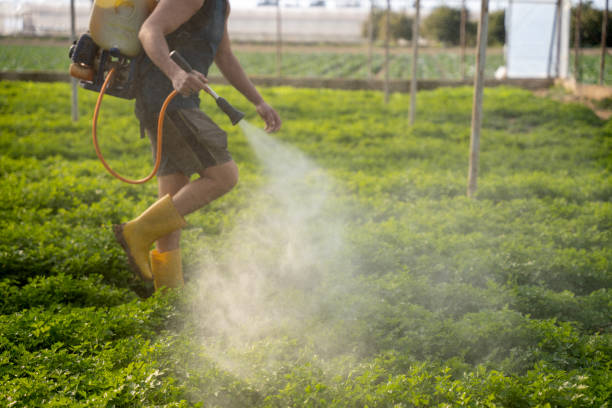 Best Commercial Pest Control Services  in South Charleston, OH