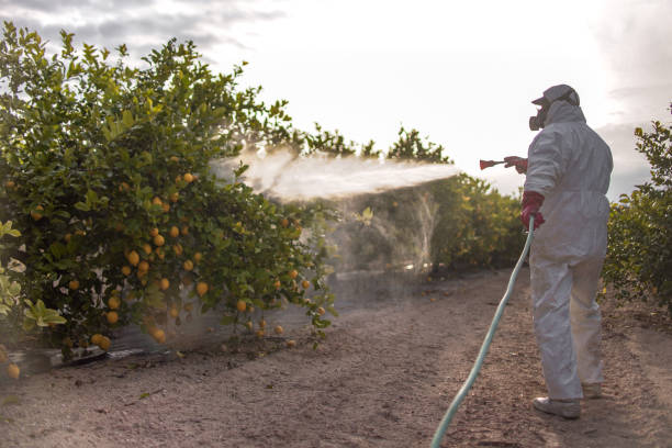 South Charleston, OH Pest Control Company