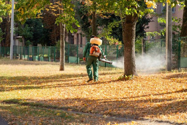  South Charleston, OH Pest Control Pros