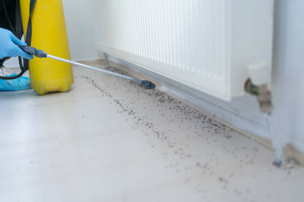 Best Cockroach Control Services  in South Charleston, OH